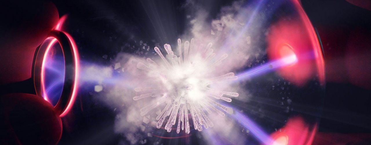 Online katalog dezinfekcí pro rok 2021 Online katalog dezinfekcí pro rok 2021