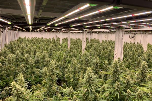 Lagom Pharmatech s.r.o. Lagom Pharmatech s.r.o.