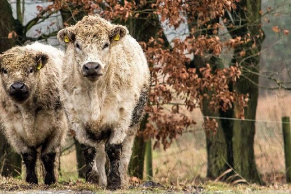 Sochorův statek Sochorův statek